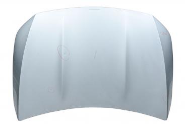 cofano del motore 