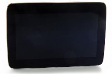 Monitor display centrale 