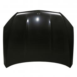 cofano del motore 