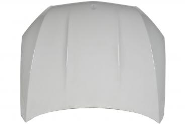 cofano del motore 