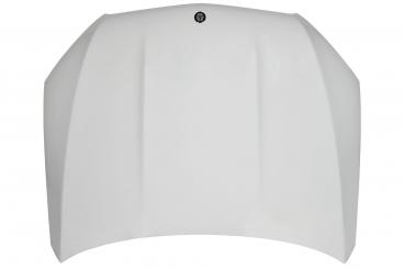 cofano del motore 