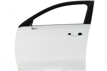Porta lato anteriore sinistro 