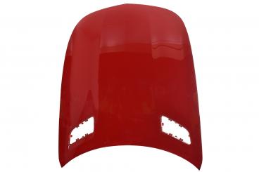 cofano del motore 