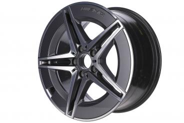 Cerchio in alluminio AMG a 5 doppie razze 
