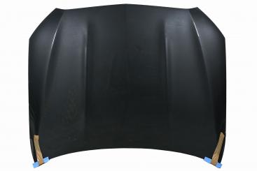 cofano del motore 
