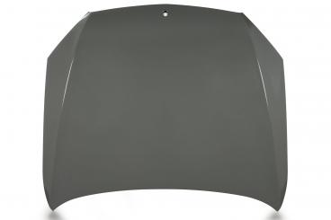 cofano del motore 