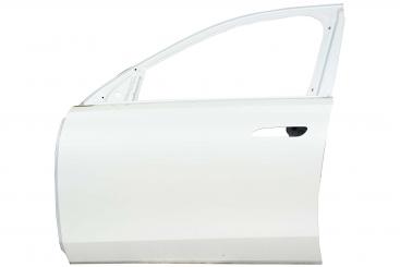 Porta lato anteriore sinistro 