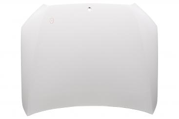 cofano del motore 