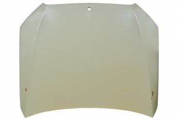 cofano del motore 