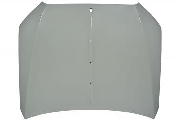 cofano del motore 