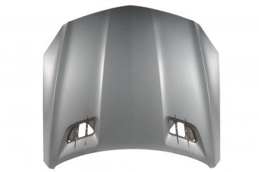 cofano del motore 