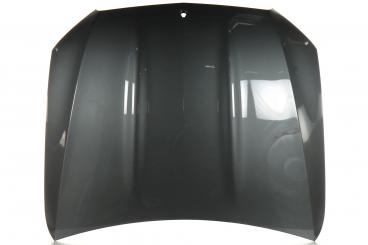 cofano del motore 