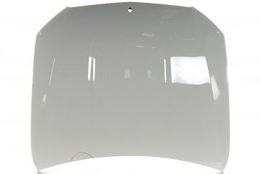 cofano del motore 