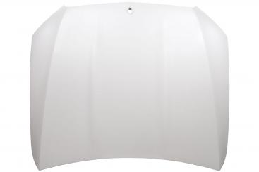 cofano del motore 