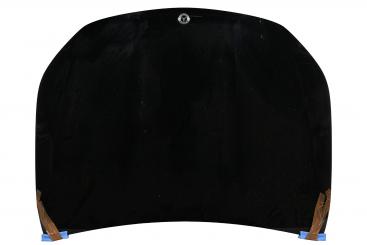 cofano del motore 