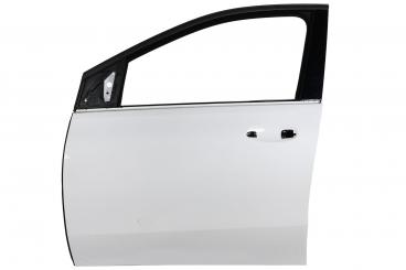 Porta lato anteriore sinistro 