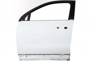 Porta lato anteriore sinistro 