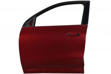 Porta lato anteriore sinistro 