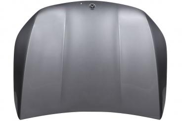 cofano del motore 