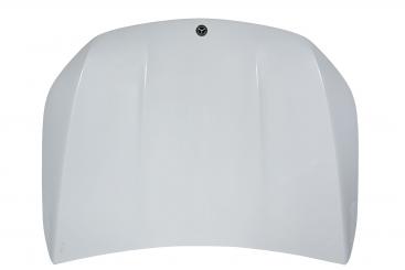 cofano del motore 