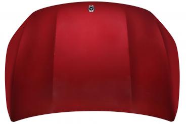cofano del motore 