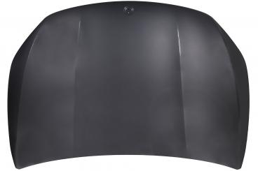 cofano del motore 