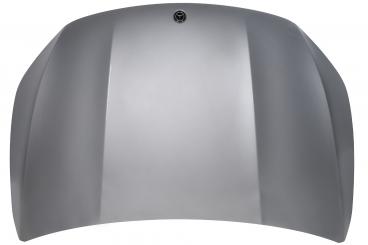 cofano del motore