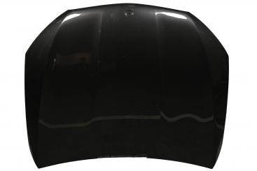 cofano del motore 