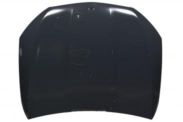 cofano del motore 