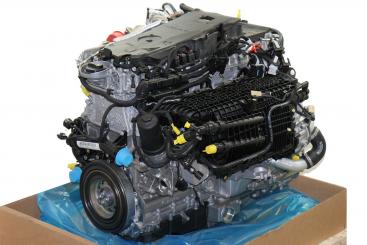 Motore benzina 256930 