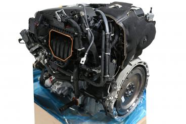 Motore benzina 264920 