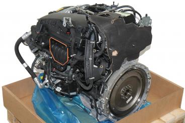 Motore benzina 264920 