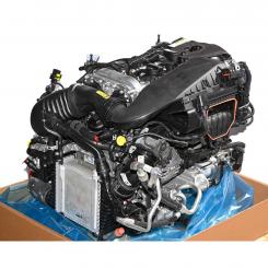 Motore benzina 264920 