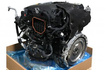 Motore benzina 264920 