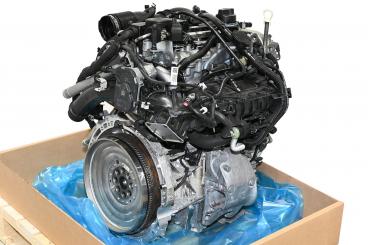 Motore benzina 270910 