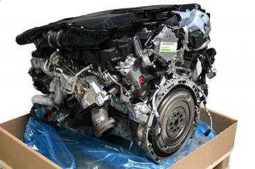 Motore benzina 276824 