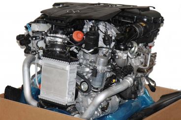 Motore benzina 276824 
