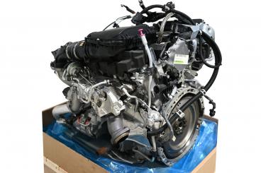 Motore benzina 276824 