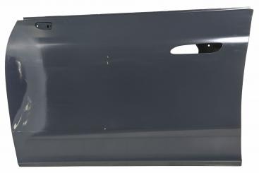 Porta lato anteriore sinistro 