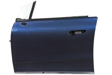 Porta lato anteriore sinistro 