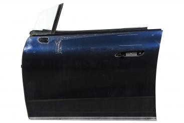 Porta lato anteriore sinistro 