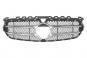 Mascherina del radiatore argento iridium opaco SRV  - Immagine 1