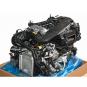 Motore benzina 264920  - Immagine 1