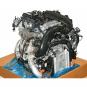 Motore benzina 264920  - Immagine 1