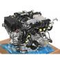 Motore benzina 274920  - Immagine 1