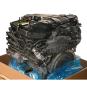 Motore benzina BM256830  - Immagine 2