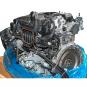 Motore benzina BM264915  - Immagine 2