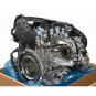 Motore benzina 264920  - Immagine 2