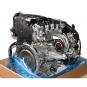 Motore benzina 264920  - Immagine 2