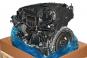Motore benzina 264920  - Immagine 2